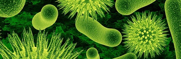 ВИРУС - друг или враг? 