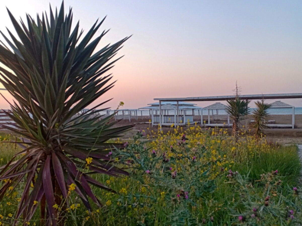 В мае начнется туристический сезон и пляж заполнится отдыхающими