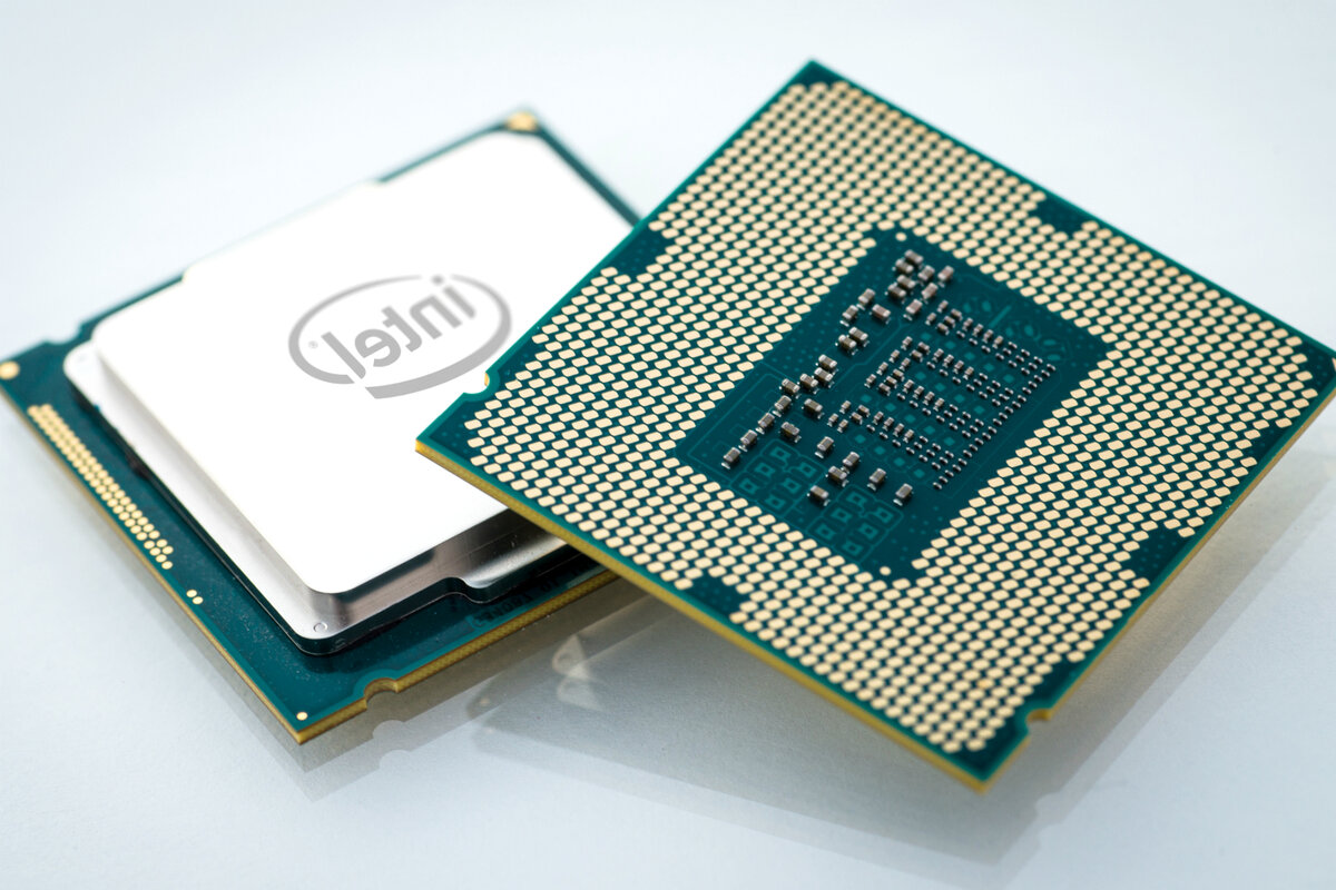 Вот так мозг - крохотулька, но "мощаа"