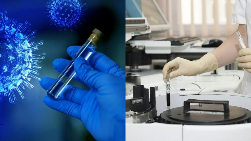 Источник фото: pixabay.com 