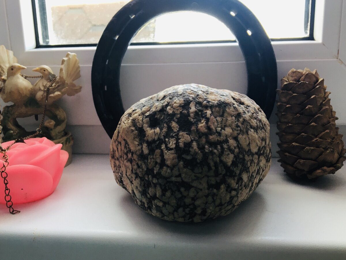 Фото из личного архива