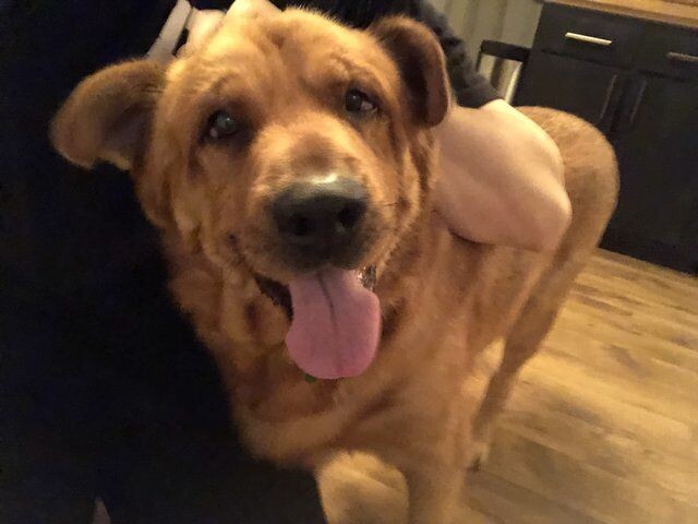 Уже счастливый Рио!