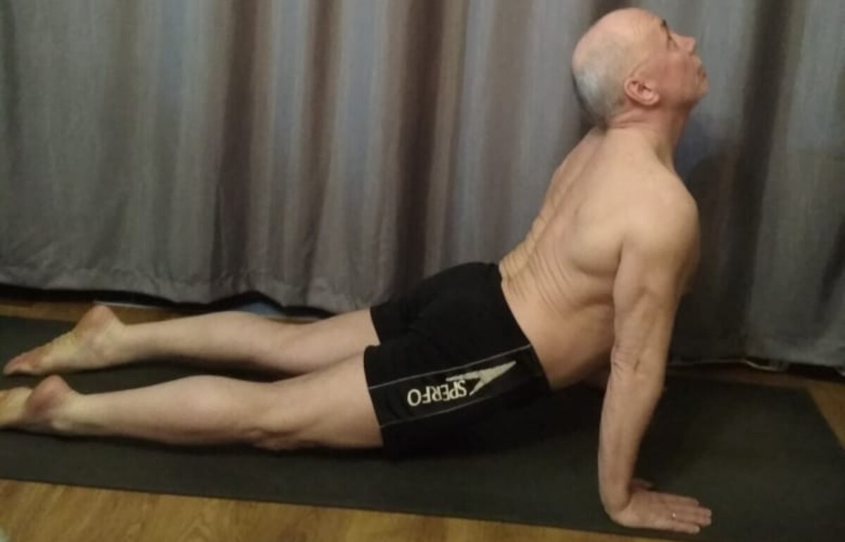 Собака смотрит в верх. Вот собака, что она там видит?