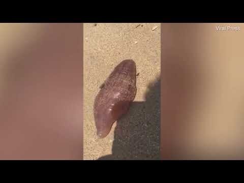 Источник: yandex.ru 