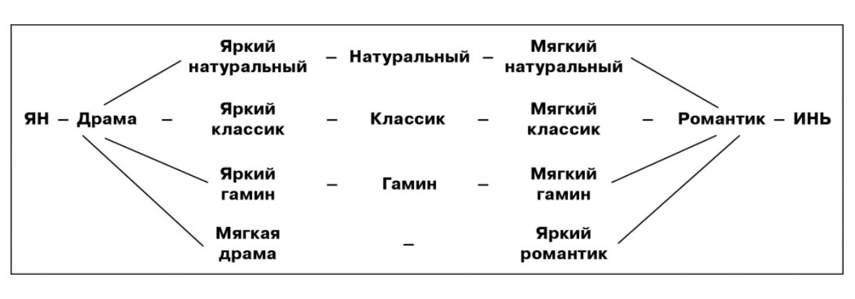 На схеме показано, для лучшего понимания, какое место занимает каждый типаж на шкале.