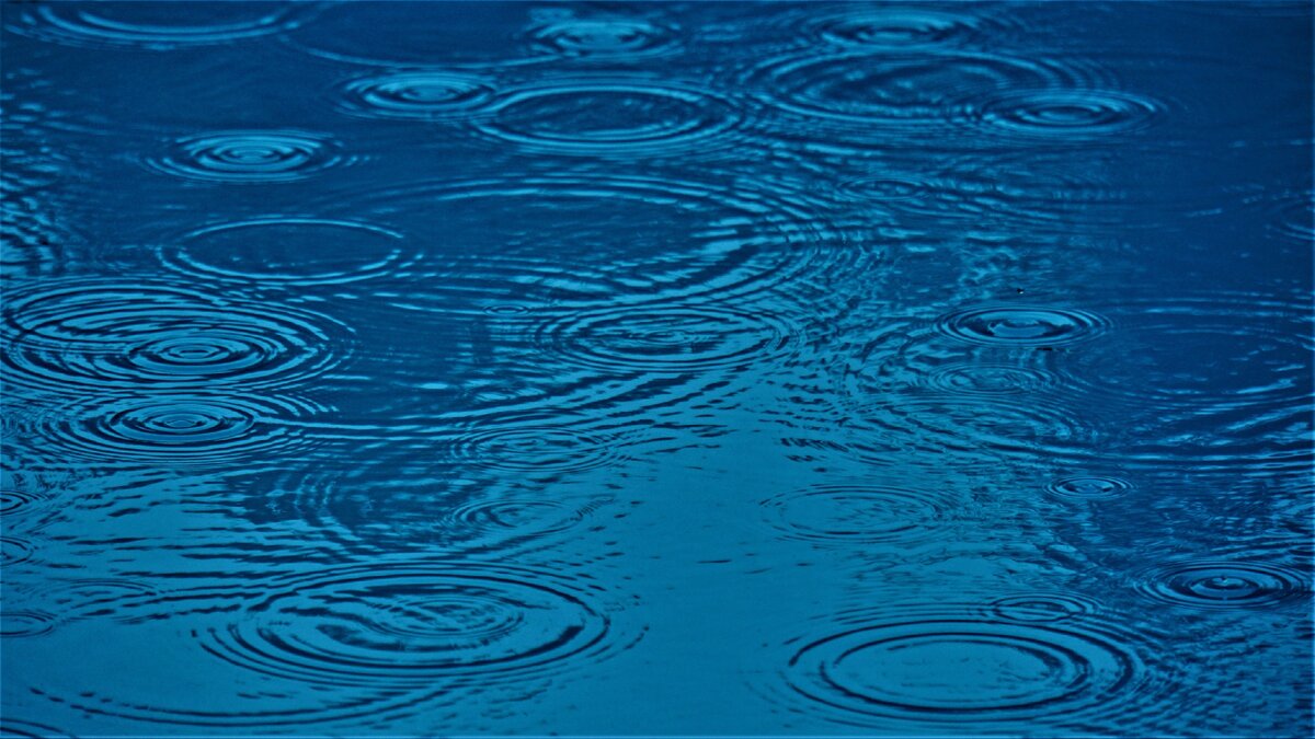 Фото: pixabay.com
