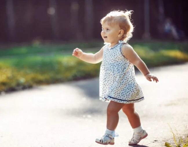 яндекс.картинки