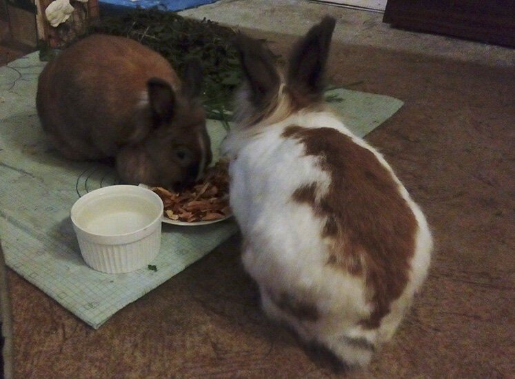 Тщательная чистка