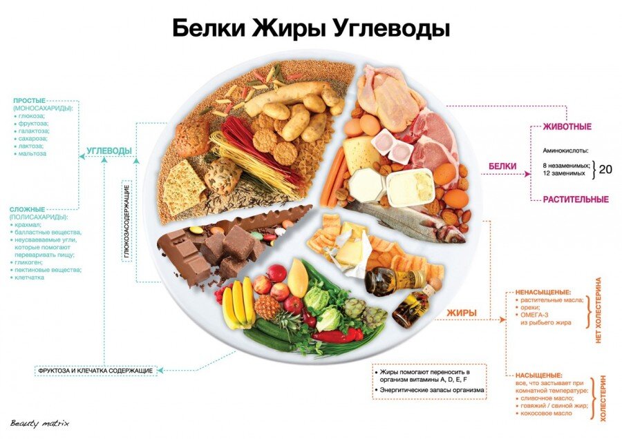 Нормы белков, жиров и углеводов – сколько нужно для похудения и здорового образа жизни - Чемпионат