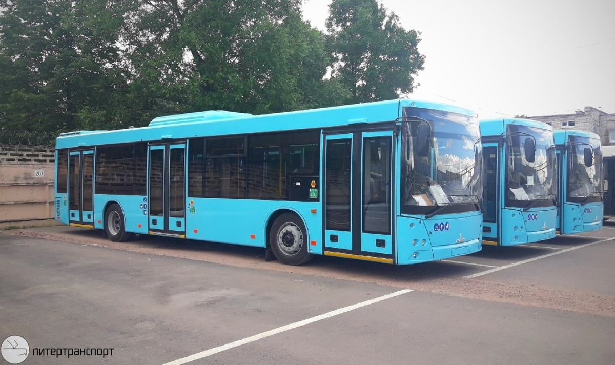 Новые МАЗы в Колпинском автобусном парке | Питертранспорт | Дзен