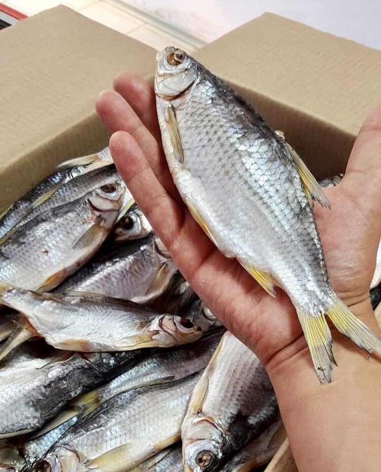 Вот такой красавец. 