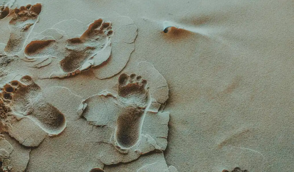 Photo by Min An on Pexels.com