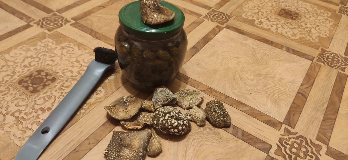 Пантеры 