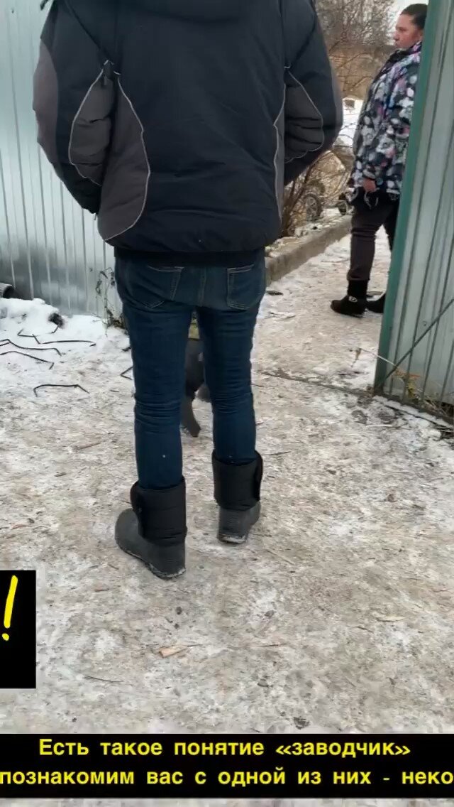 Та самая Ангелина. Скрин из видео