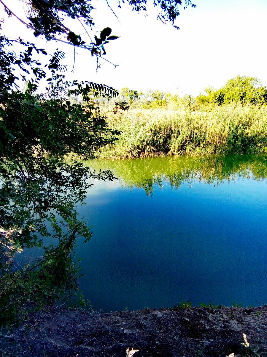                                                             Любимое место ходьбы у водоема