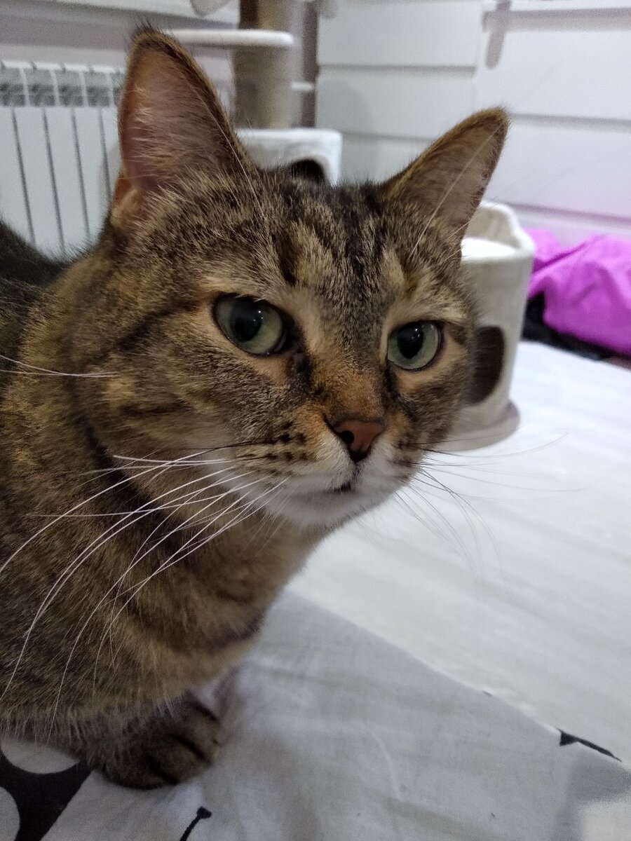 Это вот она, "дует губки")