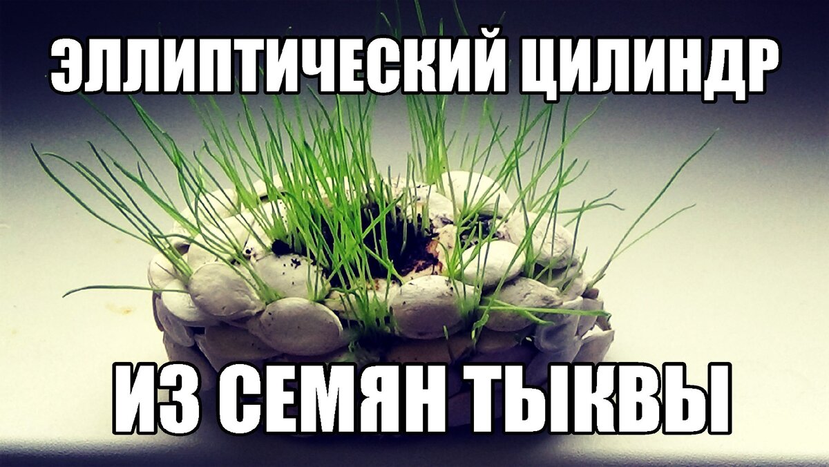 Эллиптический цилиндр из семян тыквы
