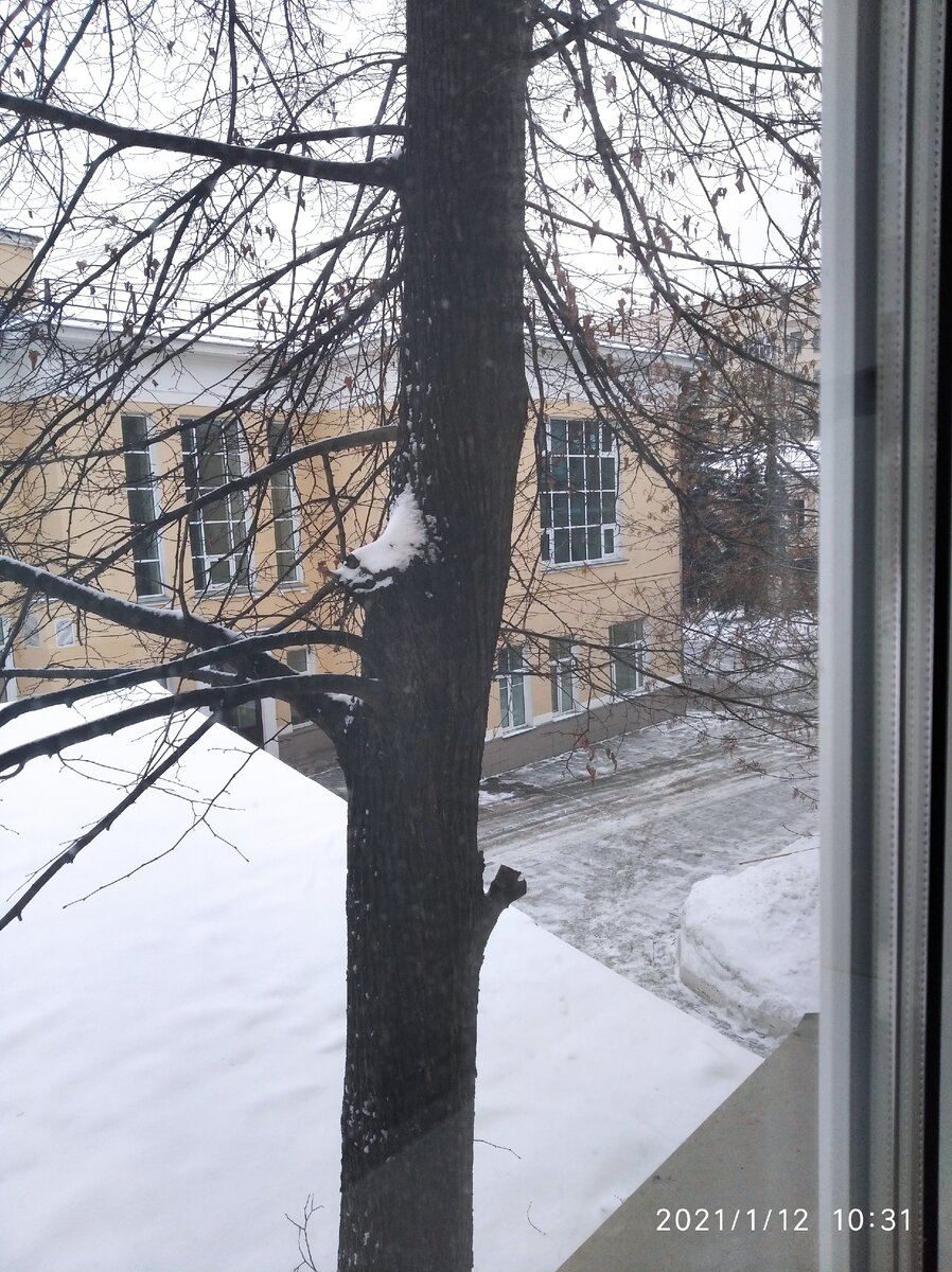 Вид из окна моей палаты.