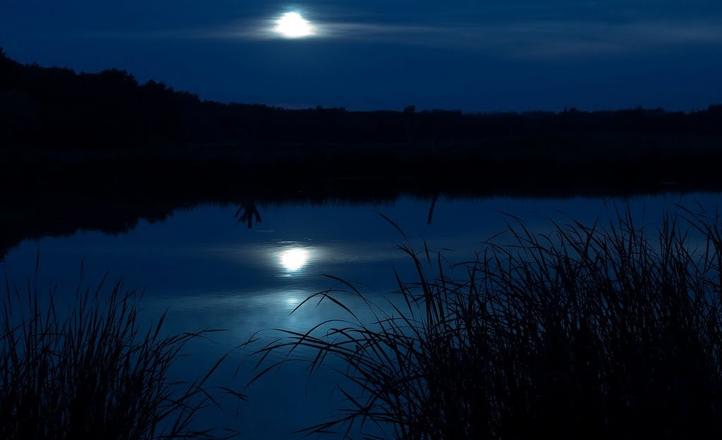 Есенин ночь тихо дремлет река. Река ночью. Ночное озеро. Ночь Луна река. Свет спокойной