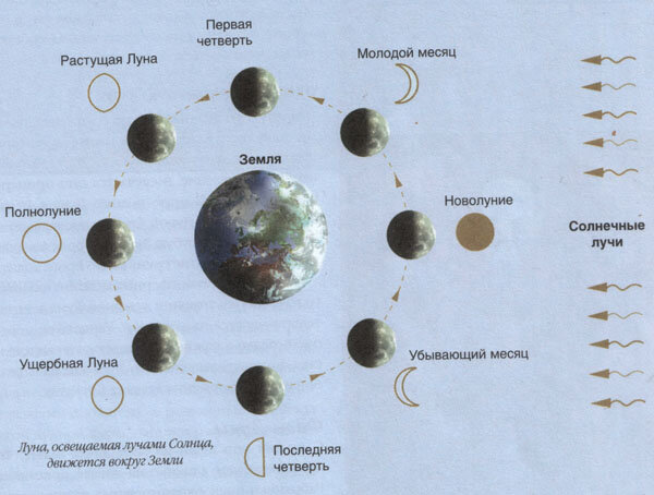 Расположение луны относительно солнца