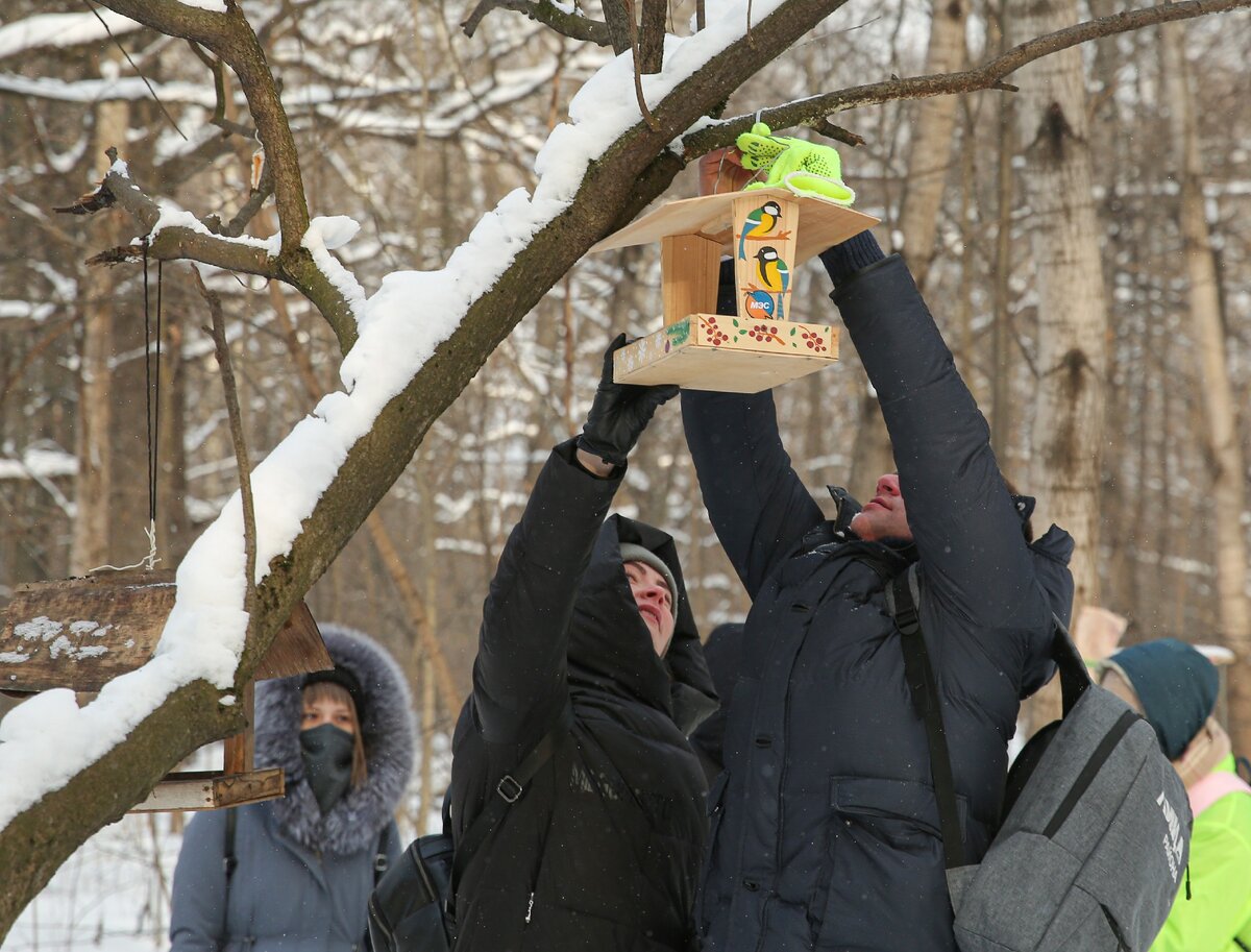 птицы в терлецком парке