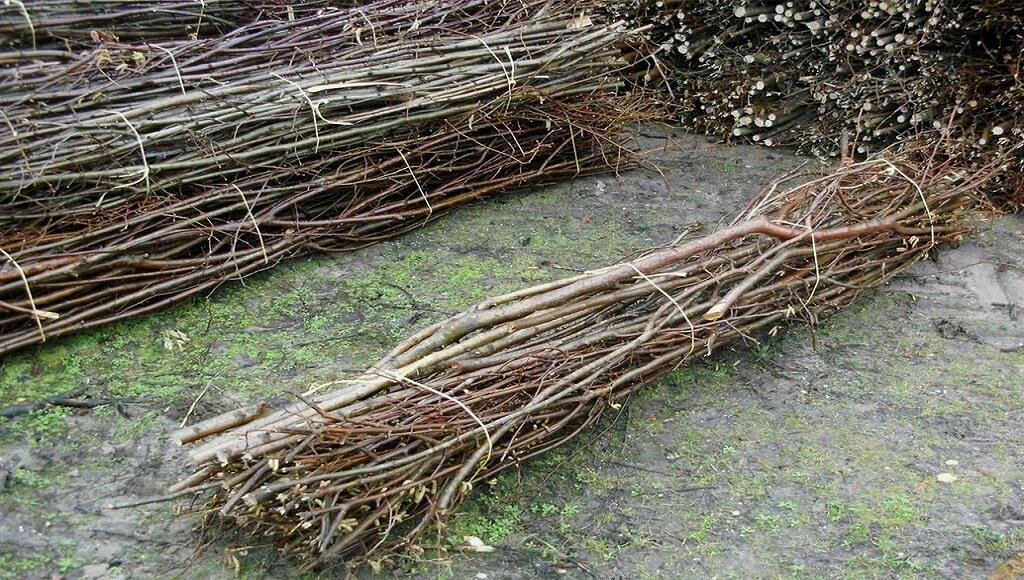 Наш урожай))