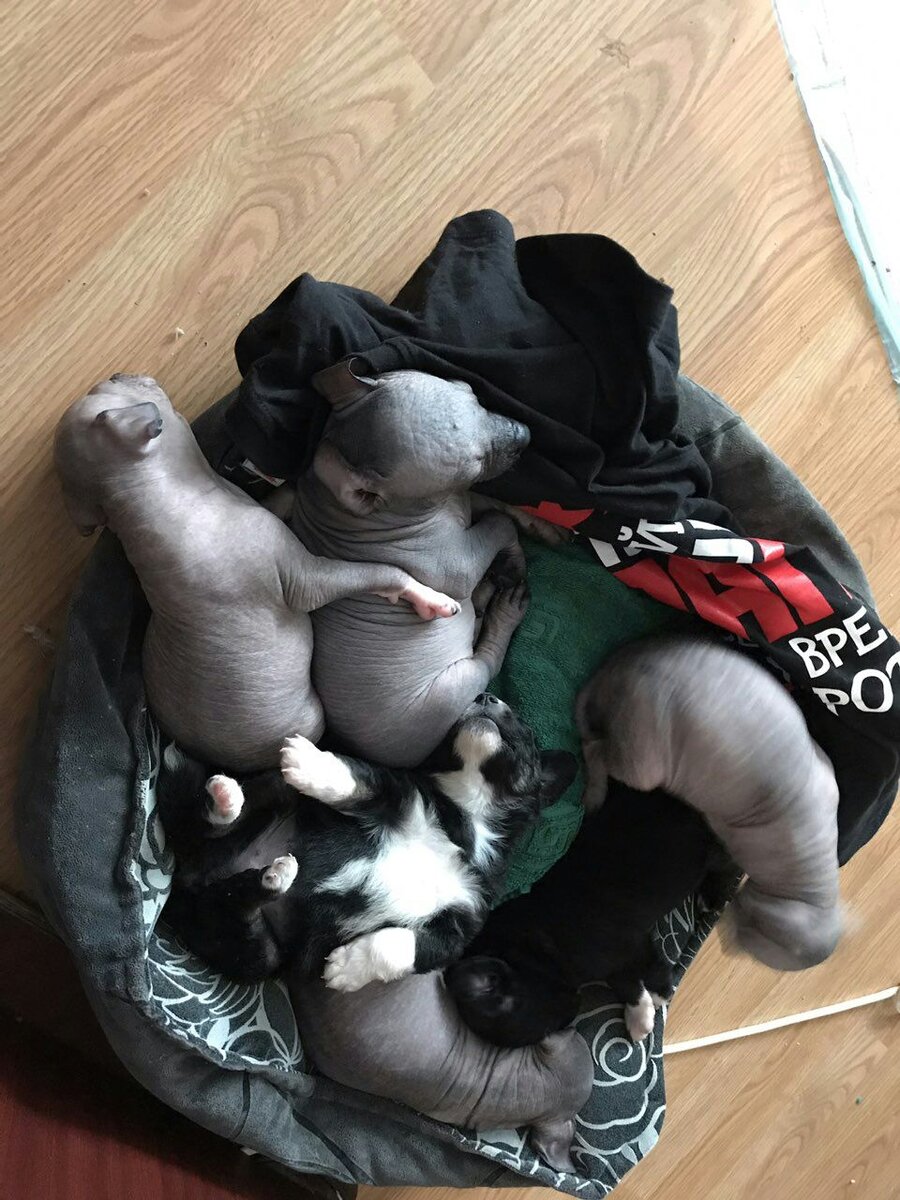 Братики и сестрички Мотильды