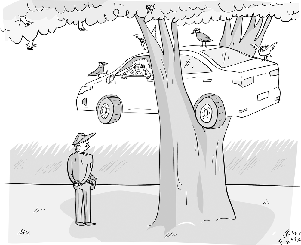 (из открытого источника)