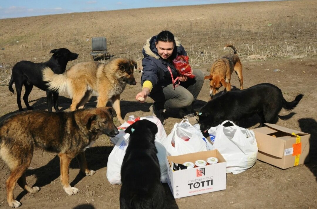 Фото из просторов интернета. 