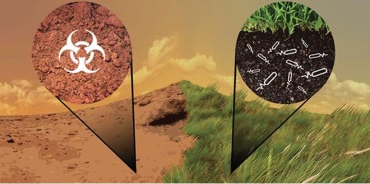 Фото из интернета 