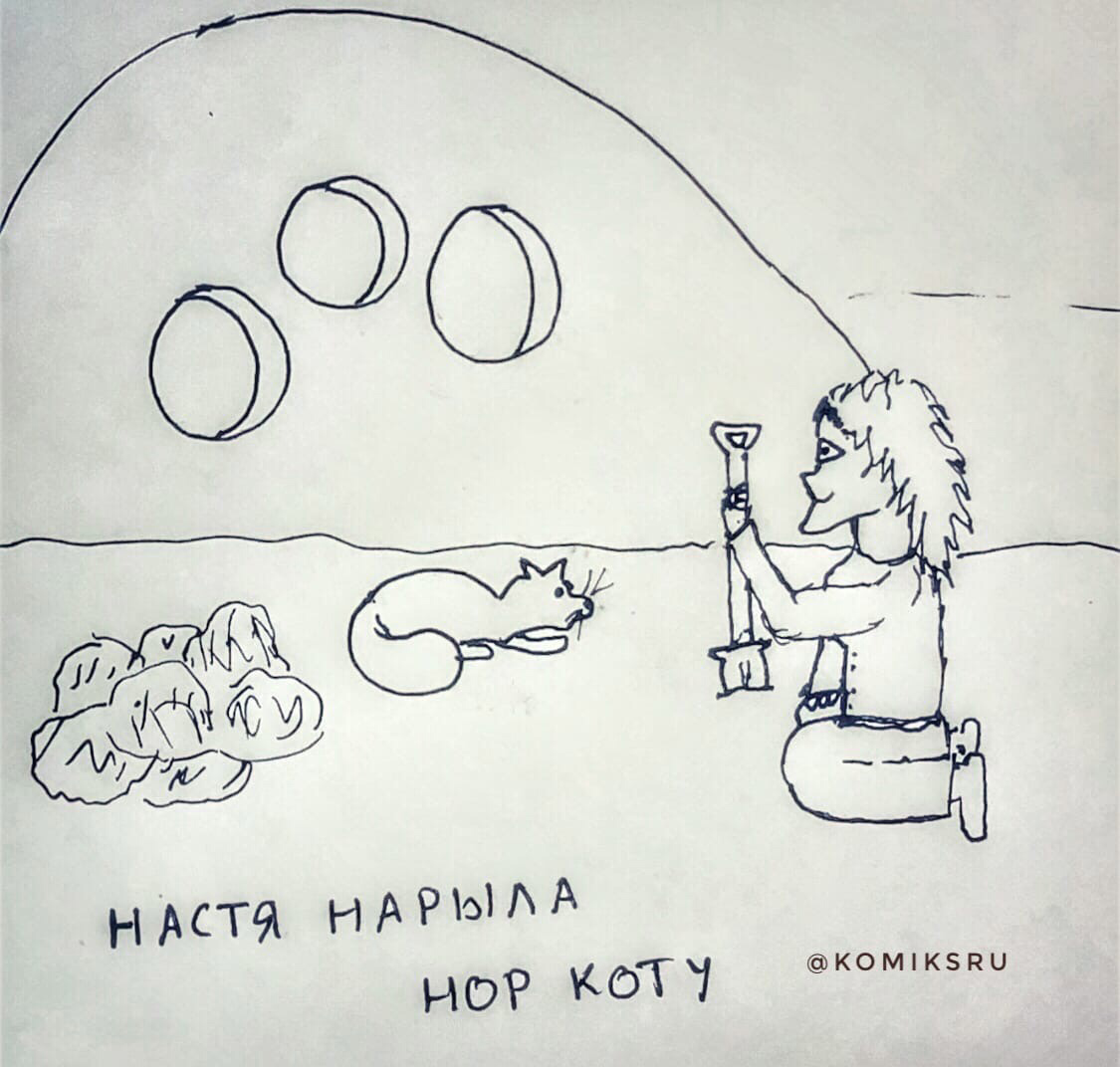 Норы 