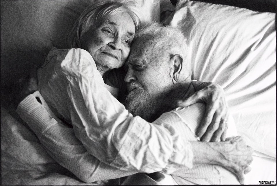 фото взято с яндекс.картинки 