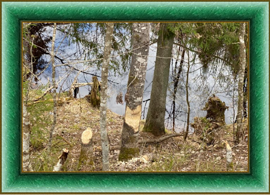 берег реки Грязны, Рождествено