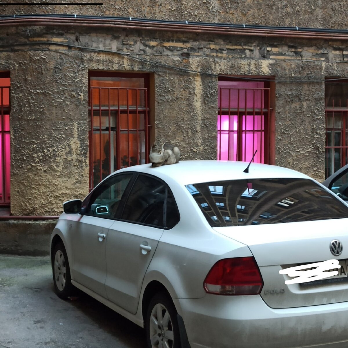 спокойствие нам только снится 