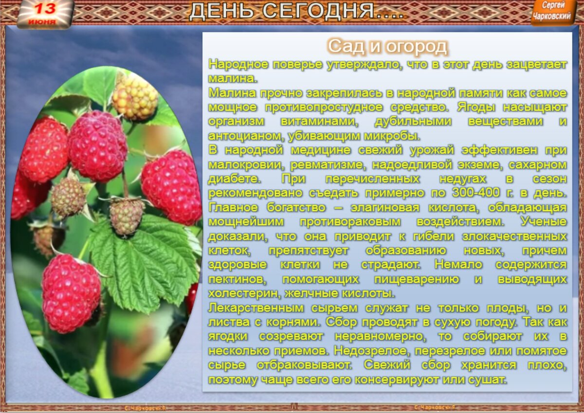 13 июня - все праздники дня во всех календарях. Традиции, приметы, обычаи и  ритуалы дня. | Сергей Чарковский Все праздники | Дзен