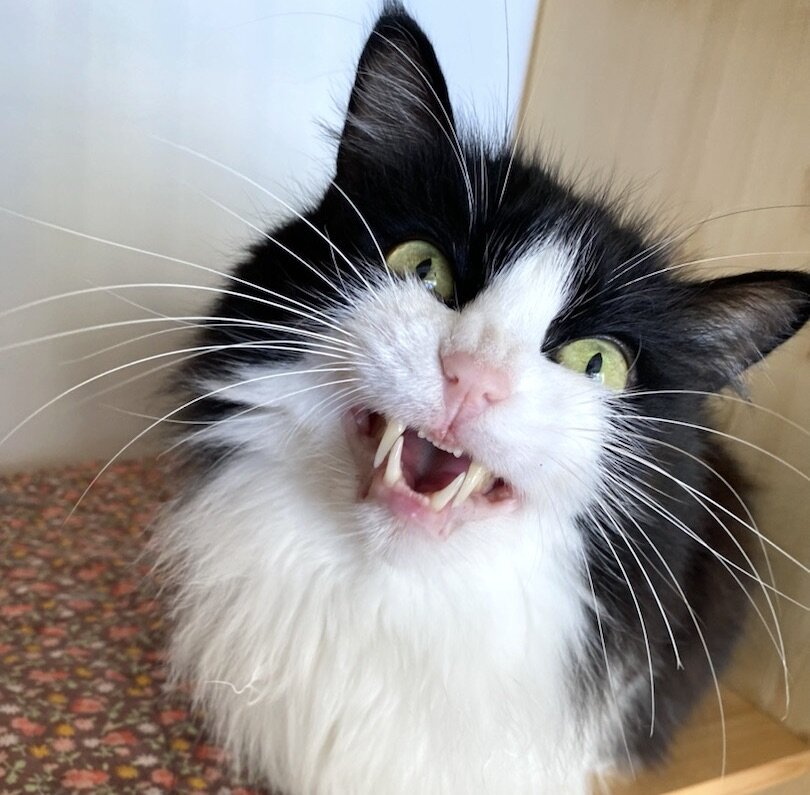 Красота - страшная сила)