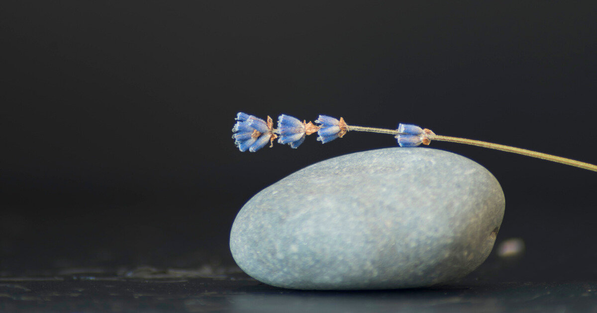 Фото: ru.freepik.com