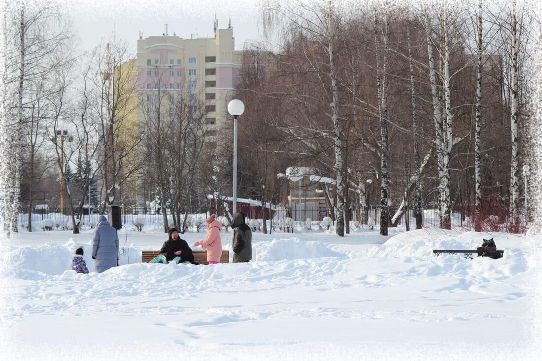 Центральный парковый круг с видом на Суздальский проспект.