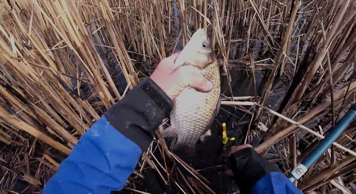 На карасиную оснастку с грузилом идут, примерно , вот такие красавчики. Главная особенность, нужно ловить карасиков, либо у травы, либо у камыша.