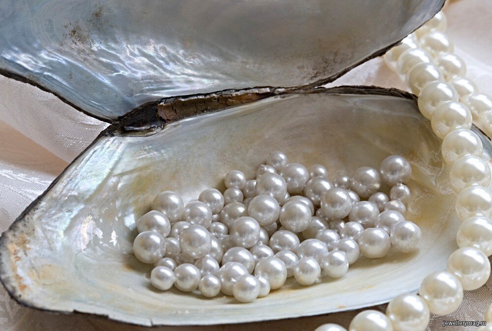 Фото: pegash.wordpress.com