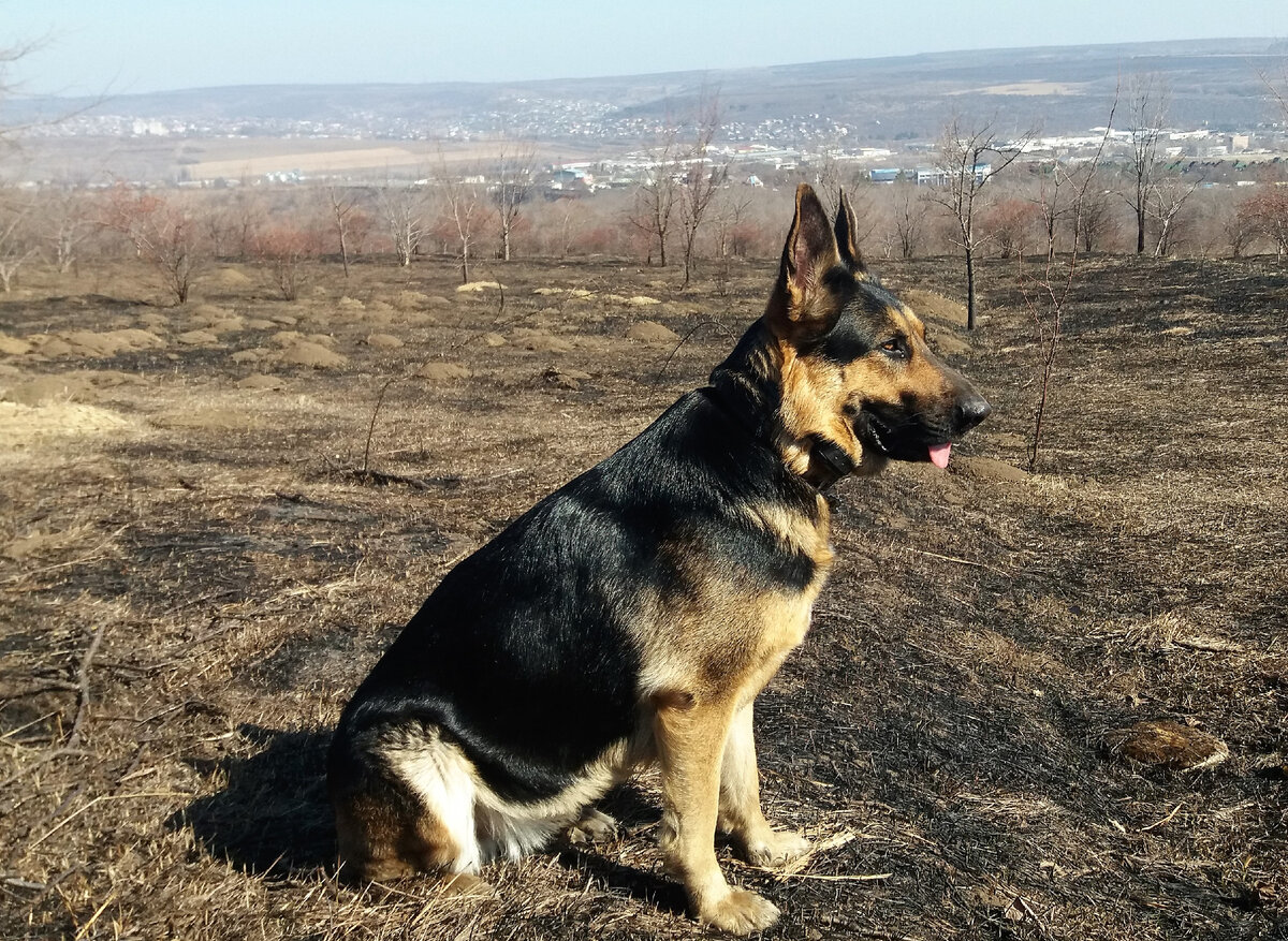 Фото автора