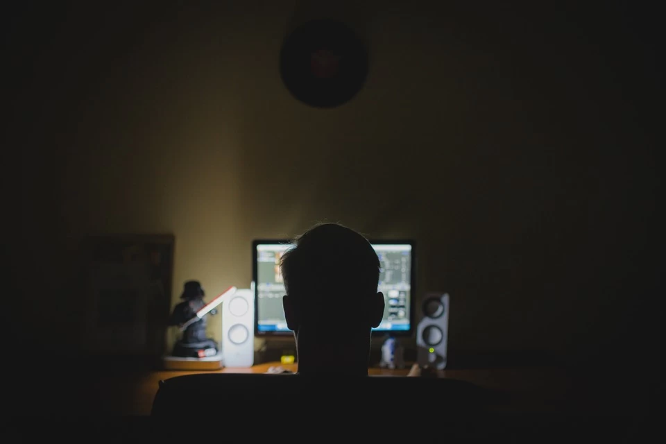Изображение: tookapic (pixabay) 