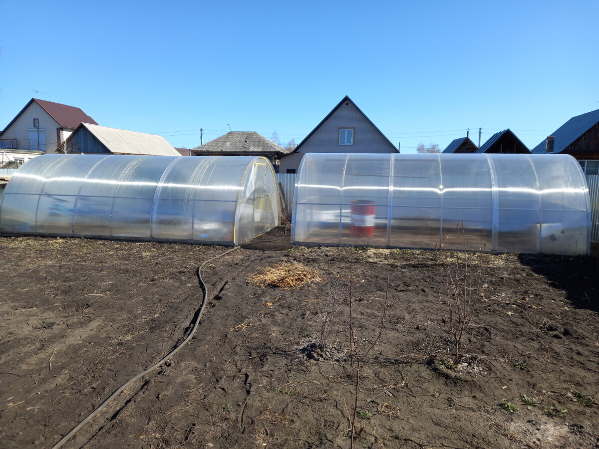 Дорогие сердцу теплички.