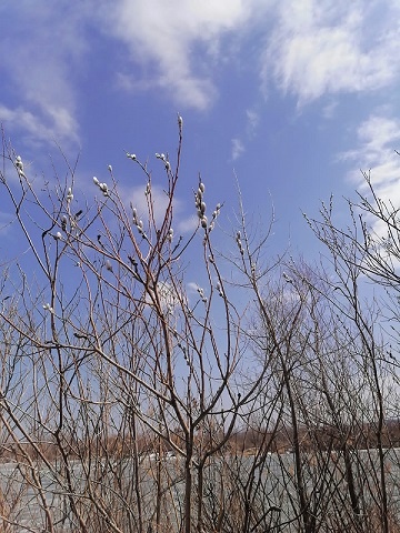 Фотография из личного архива автора