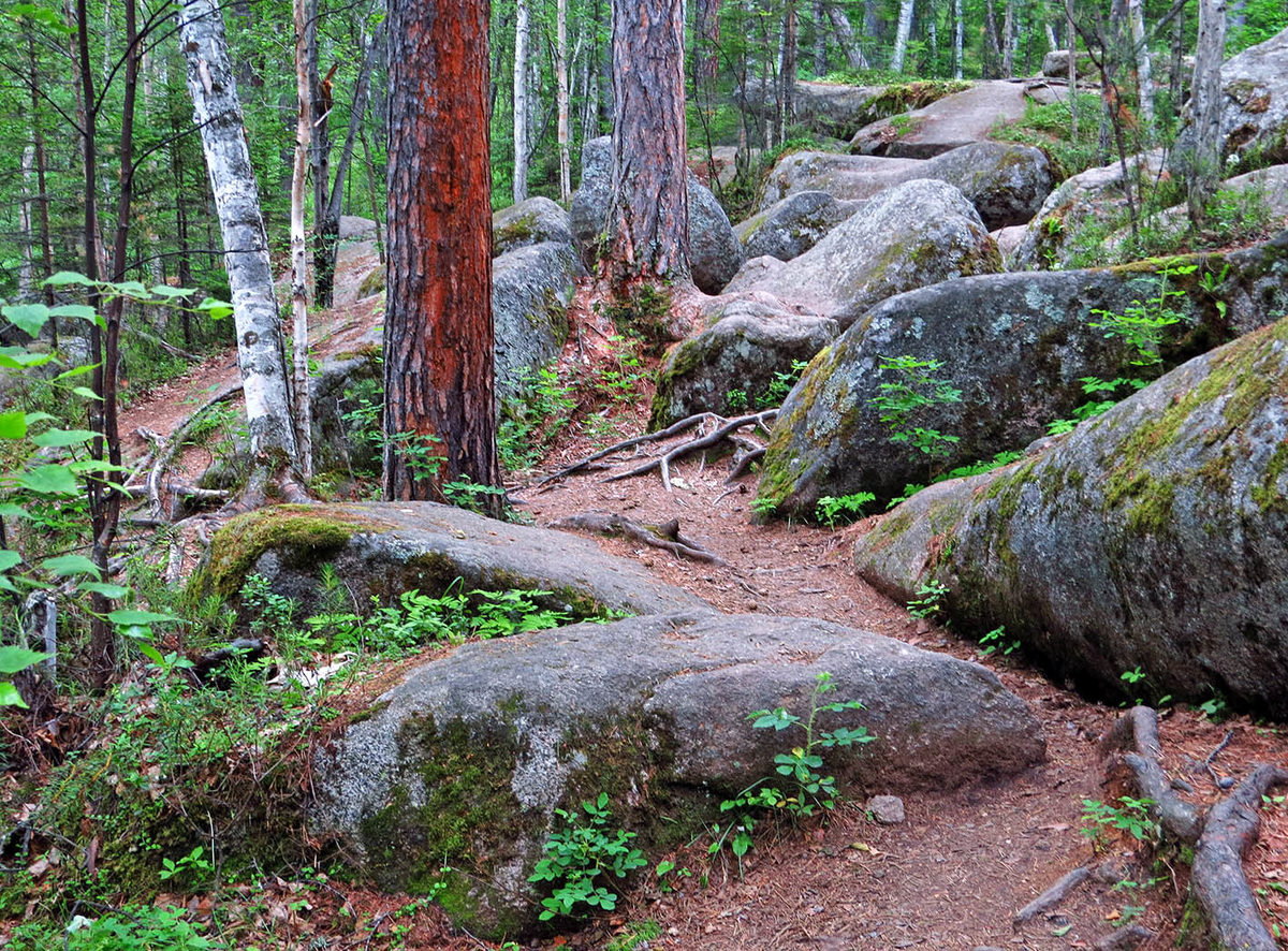 Подняться наверх на верх холма проникнуть вглубь. Вглубь или в глубь леса. Лесная дорога. Подняться наверх наверх холма проникнуть вглубь в глубь леса идти. Подняться наверх наверх холма проникнуть вглубь в глубь леса.