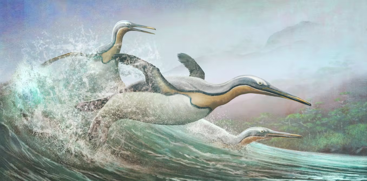 Удивительные размеры