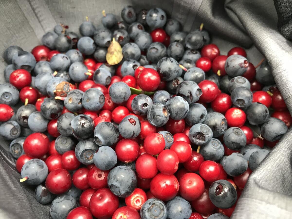 Роскошная россыпь от Ирины Копысовой - возможно, нас ждет интересный рассказ о том, как прошла охота на этих красавчиков.