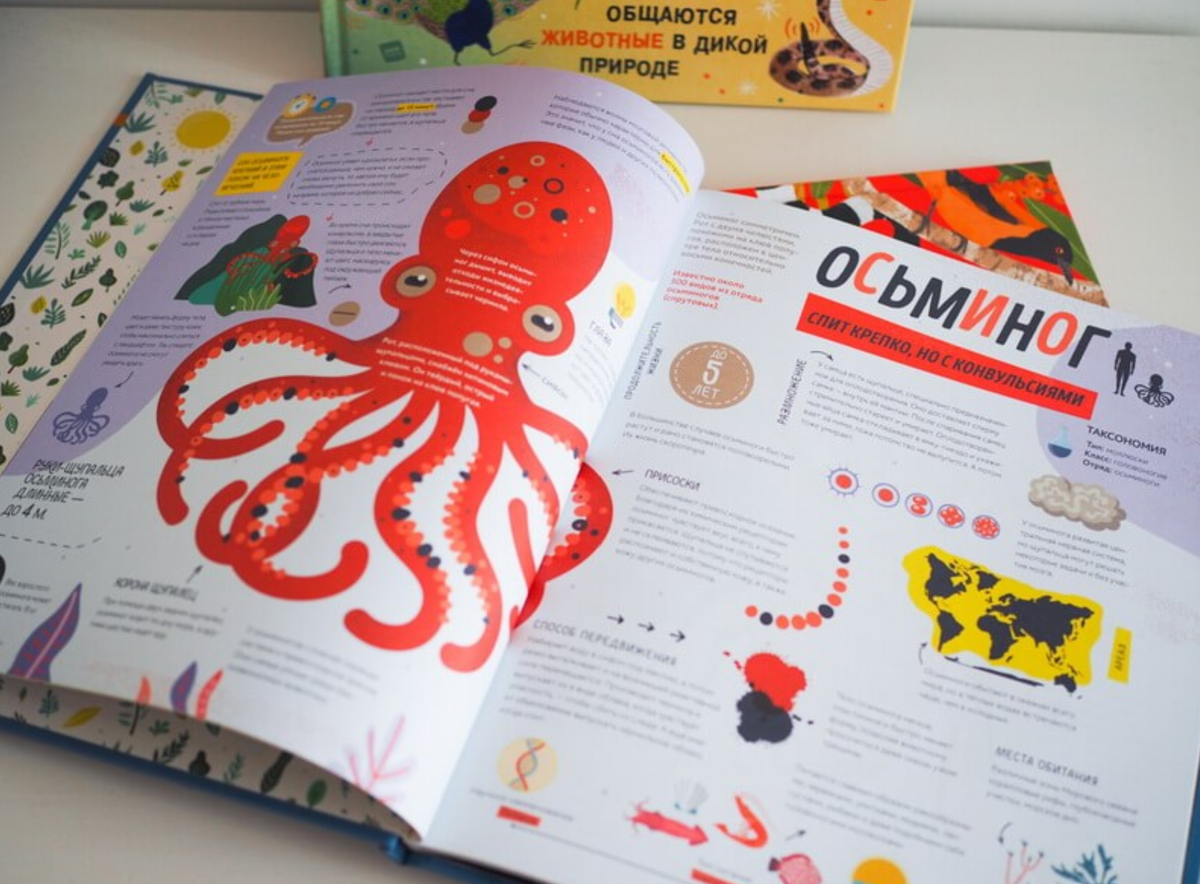 Все фото с официального сайта издательства: www.mann-ivanov-ferber.ru