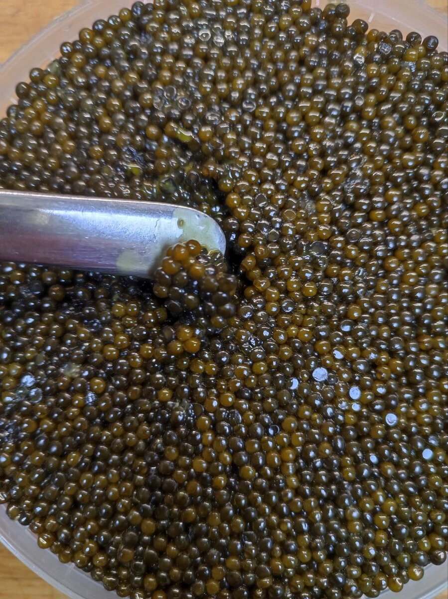 Осетровая икра