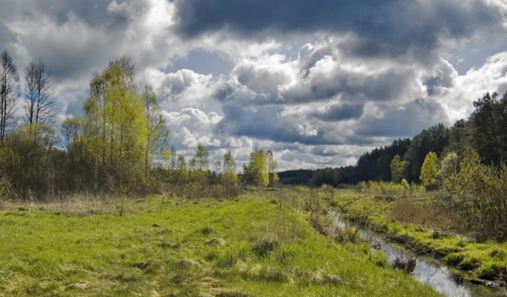 Фото — stihi.ru